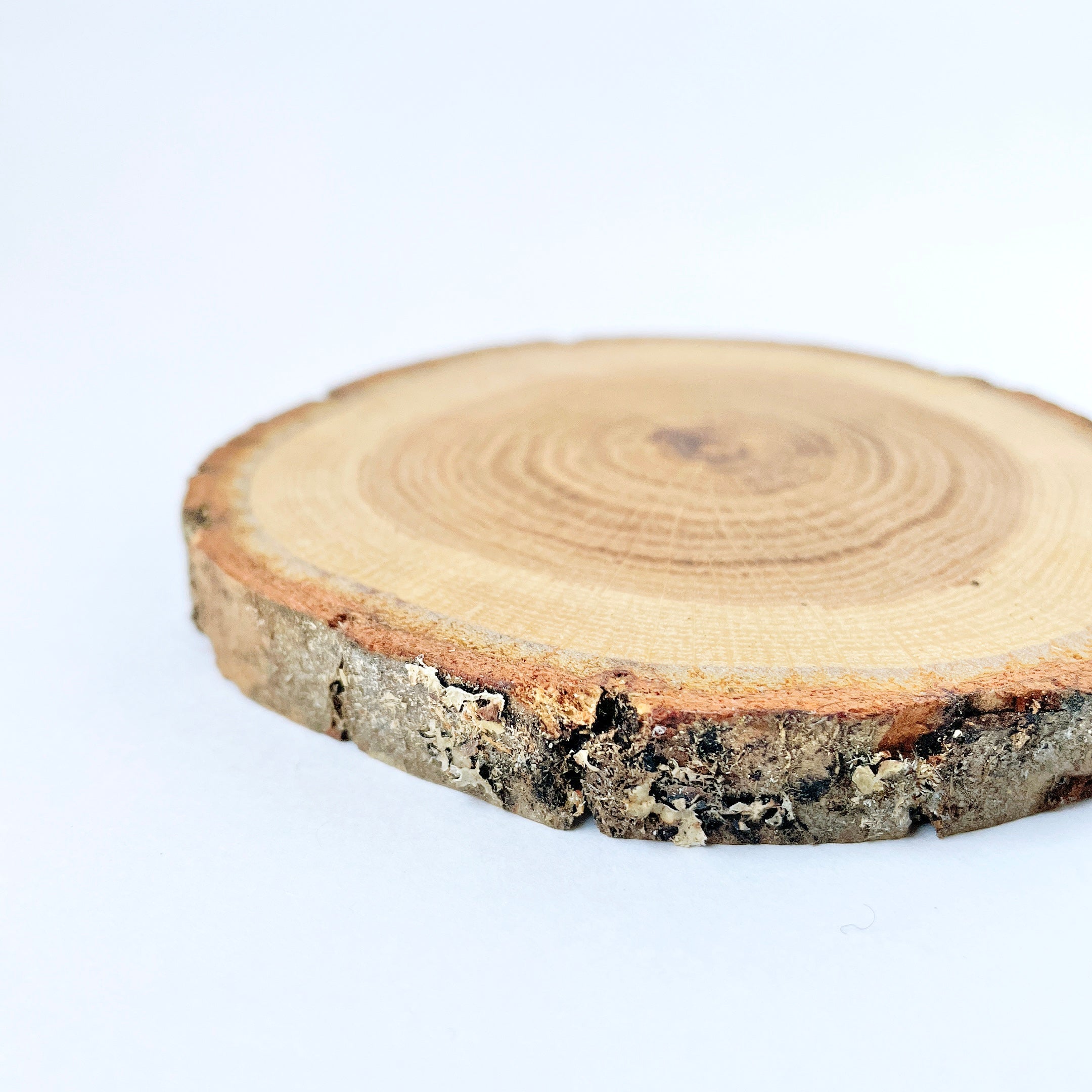 Display stand - Oak wood | USABURO KOKESHI ONLINE STORE – 卯三郎